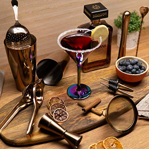 Cocktail Shaker Bar Set: 2 Weighted Boston Shakers, Cocktail Strainer  Set,Jigger,Muddler and Spoon, Ice Tong and 6 Bottle Pourer